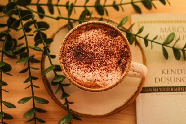 T shirt prada : guide pour choisir le modèle parfait